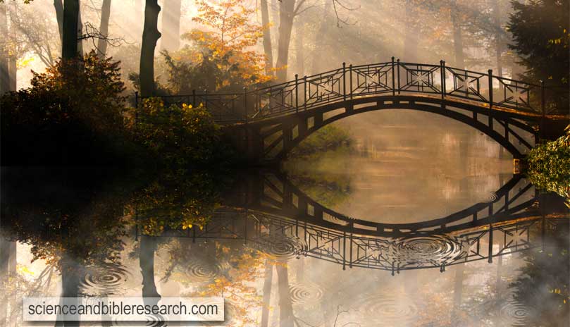 Autumn - Old bridge in autumn misty park (Photo by Gorilla)