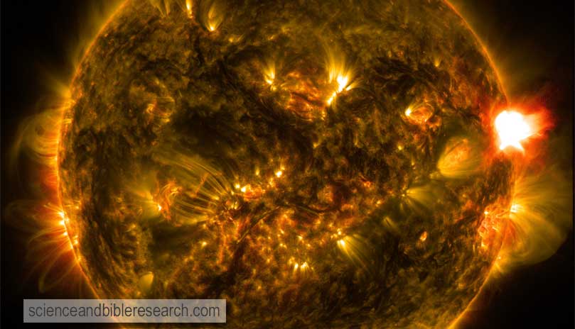 Mid-Level Solar Flare (Photo by NASA)
